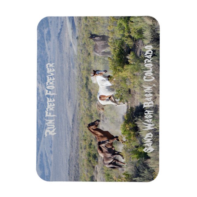 Magnet Flexible Exécuter Free Forever (Vertical)