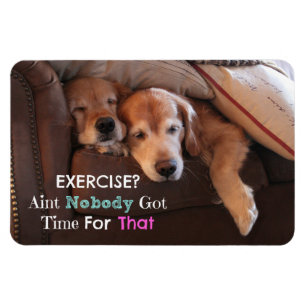 Magnet Flexible Exercice Demotivational de golden retriever
