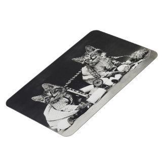 Magnet Flexible Fabricants de mauvais chef 1914