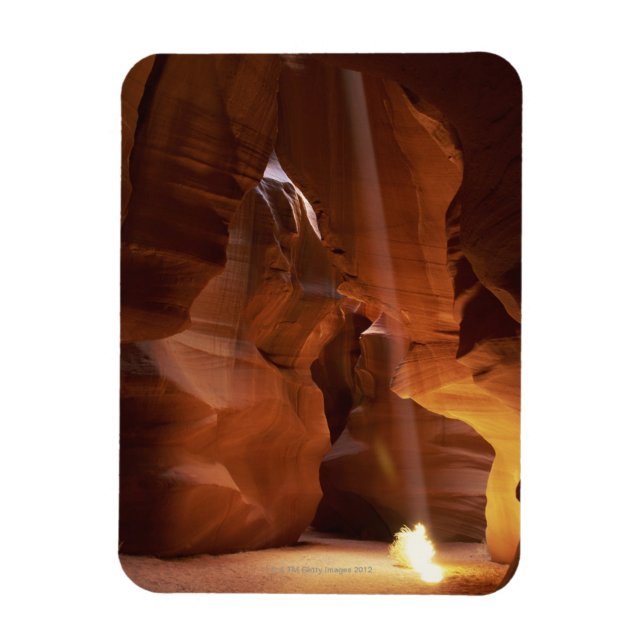 Magnet Flexible Faisceau de soleil frappant les algues sur le sol  (Vertical)