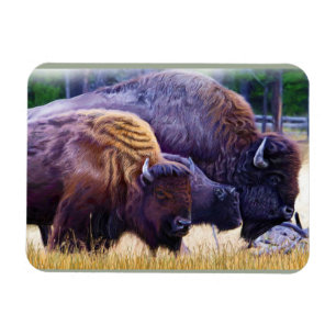 Magnet Flexible Famille de bison américain