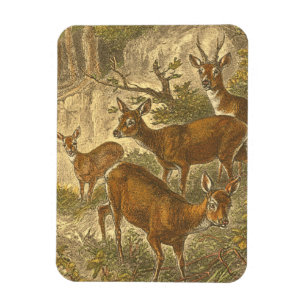 Magnet Flexible Famille de Roe - Cerfs dans une forêt
