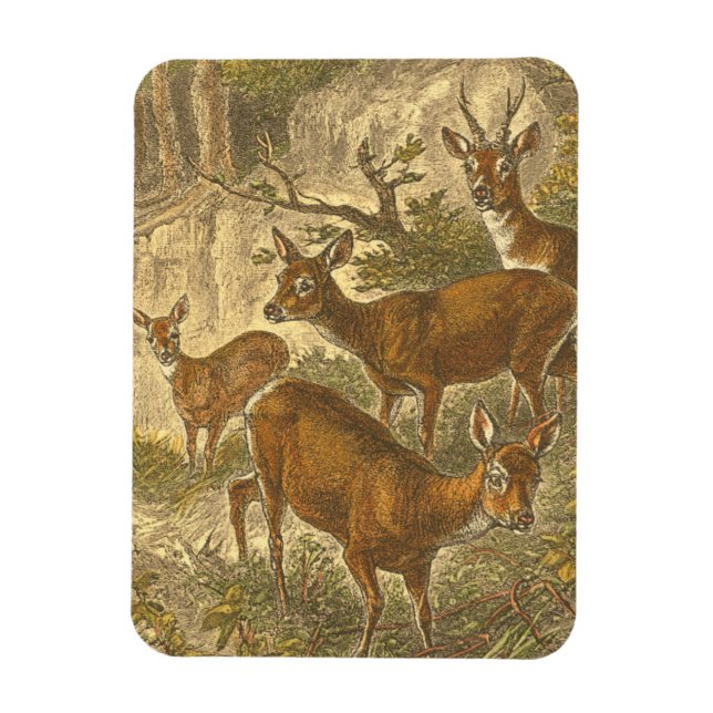 Magnet Flexible Famille de Roe - Cerfs dans une forêt (Vertical)