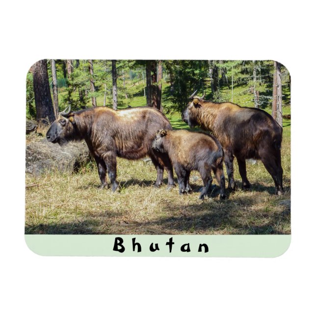 Magnet Flexible Famille Takin, animal national du Bhoutan, Asie (Horizontal)