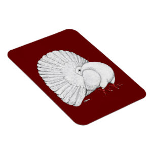 Magnet Flexible Fantail : Blanc