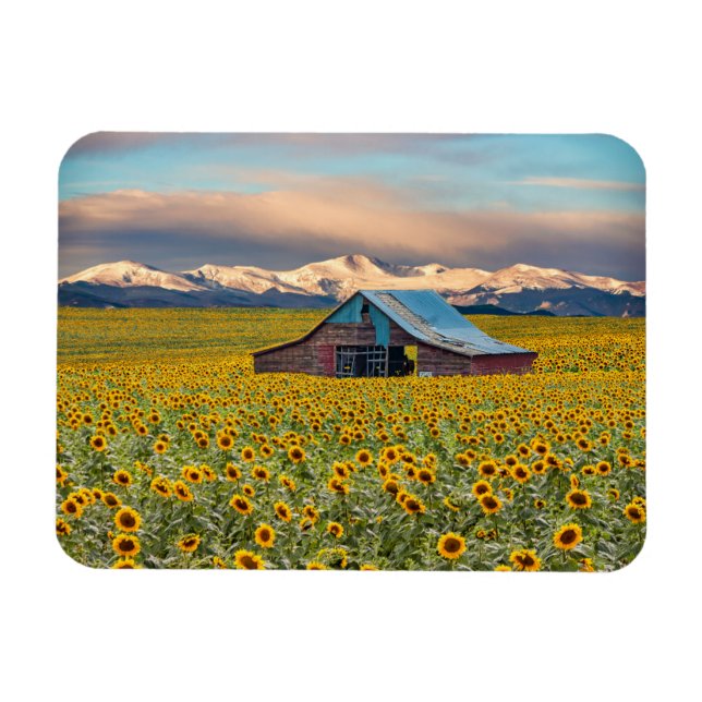 Magnet Flexible Farms | Field (Horizontal)
