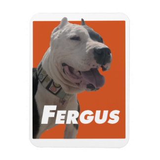 Magnet Flexible Fergus Le Chien Des Barbiers