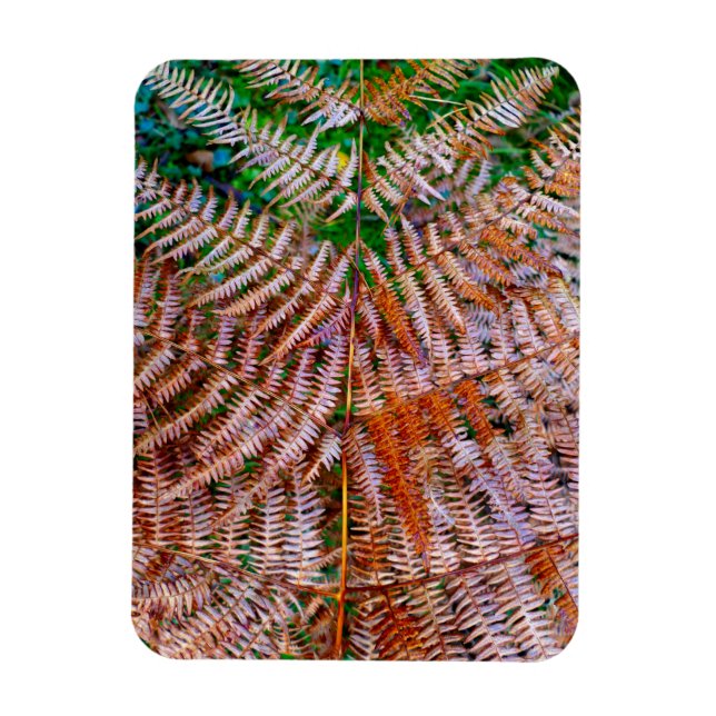 Magnet Flexible Fermes des bois (Vertical)