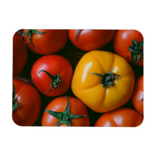 Magnet Flexible Fermes   Tomates rouges et jaunes brillantes