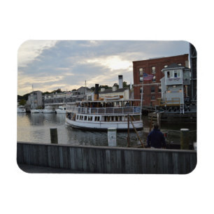 Magnet Flexible Ferry mystique