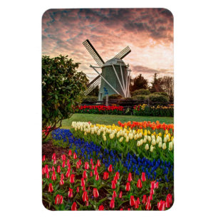 Magnet Flexible Festival de Tulip