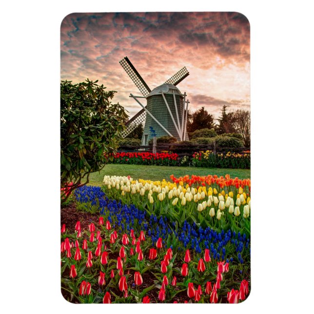 Magnet Flexible Festival de Tulip (Vertical)