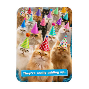 Magnet Flexible Fête de chats