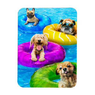 Magnet Flexible Fête de chien à la piscine