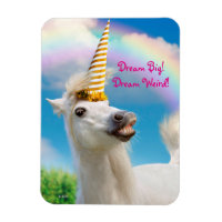 Fête Unicorn Horse Et Arc En Ciel