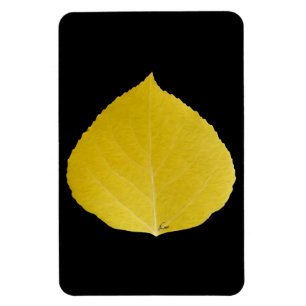 Magnet Flexible Feuille d'Aspen jaune #5