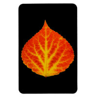 Feuille d'Aspen rouge et jaune #10