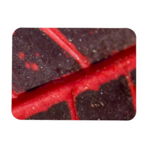 Magnet Flexible Feuille rouge variée hawaïenne