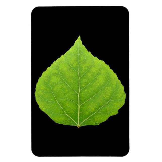 Magnet Flexible Feuille verte d'asperge #11 (Vertical)