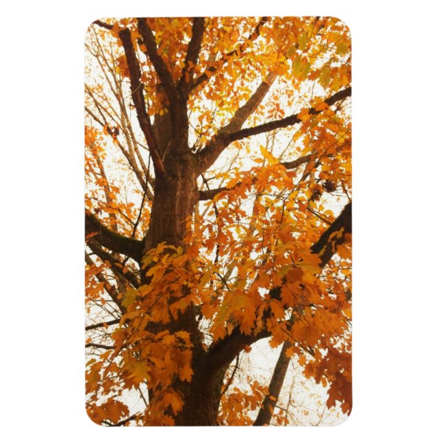 Magnet Flexible Feuilles d'automne (Vertical)