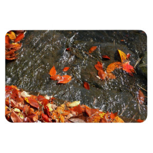 Magnet Flexible Feuilles d'automne dans la cascade I Photographie 