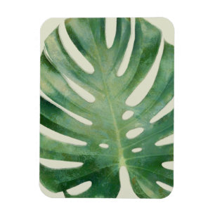 Magnet Flexible Feuilles Monstera
