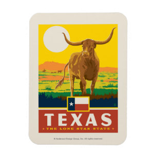 Magnet Flexible Fierté de l'État   Texas