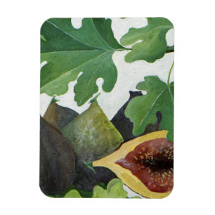 Magnet Flexible Figues 2013