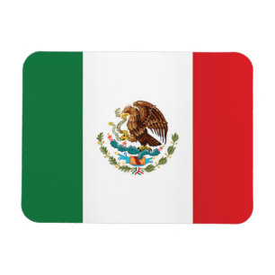 Magnet Flexible Flag of Mexico