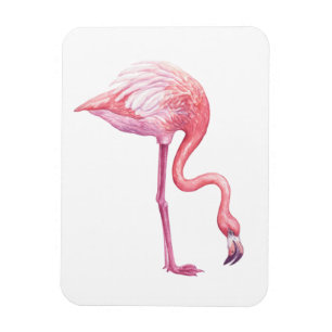 Magnet Flexible Flamant rose