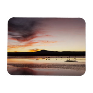 Magnet Flexible Flamant rose chilien