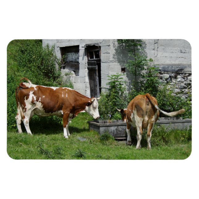 Magnet Flexible Fleckvieh soif (Horizontal)