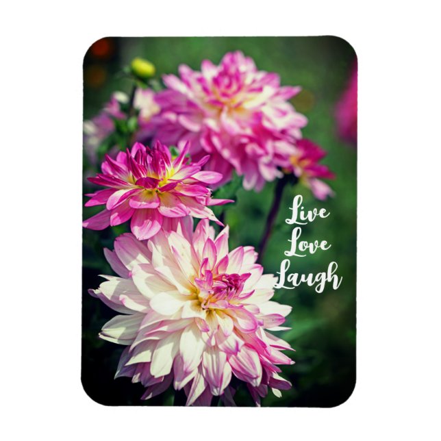 Magnet Flexible Fleur Dahlia rose et blanc Motivation (Vertical)