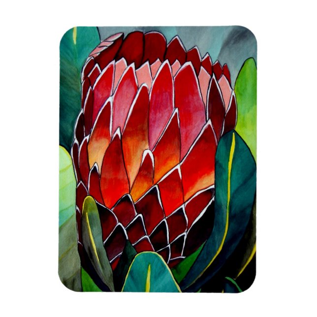 Magnet Flexible Fleur d'aquarelle rouge Protea (Vertical)