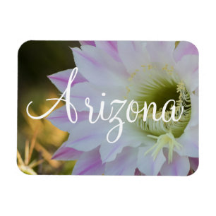 Magnet Flexible Fleur de cactus violet et blanc, Arizona
