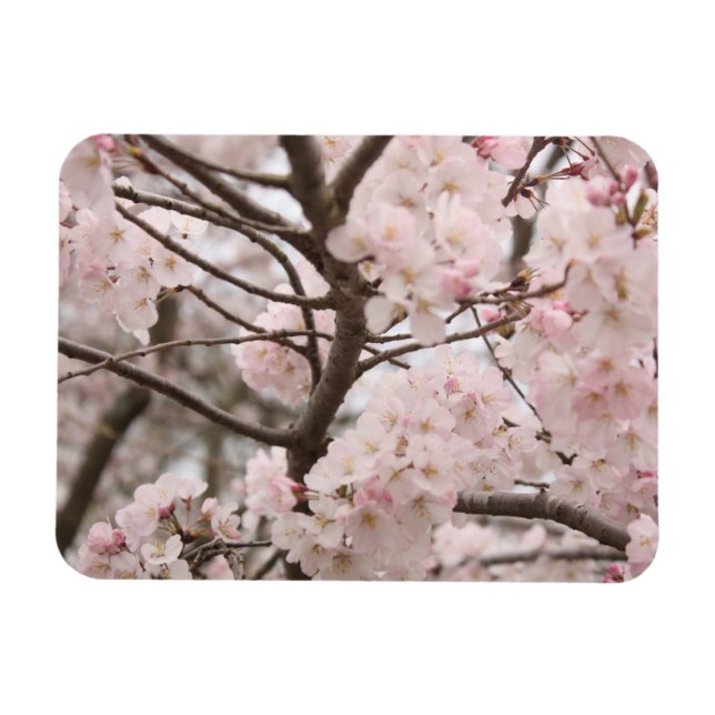 Magnet Flexible Fleur de cerise (Horizontal)