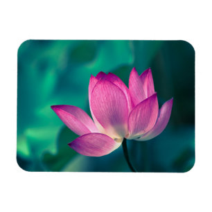 Magnet Flexible Fleur de nénuphar de Lotus