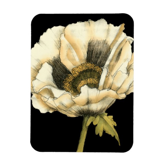 Magnet Flexible Fleur de pavot à crème sur Arrière - plan noir (Vertical)