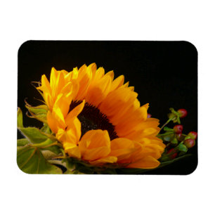 Magnet Flexible Fleur de soleil jaune