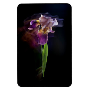 Magnet Flexible Fleur d'iris abstraite – Art floral élégant