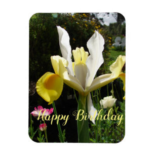 Magnet Flexible Fleur d'Iris Jaune Floral Irises d'anniversaire