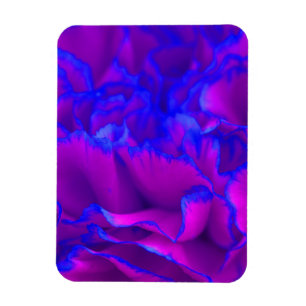 Magnet Flexible Fleur gras Fuschia rose et bleu oeillet