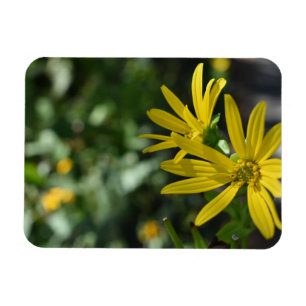 Magnet Flexible Fleur Jaune Fleur Florale Nature Photographie