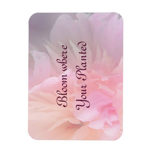 Magnet Flexible Fleur où votre Aimant Floral Blush Plantation (Vertical)