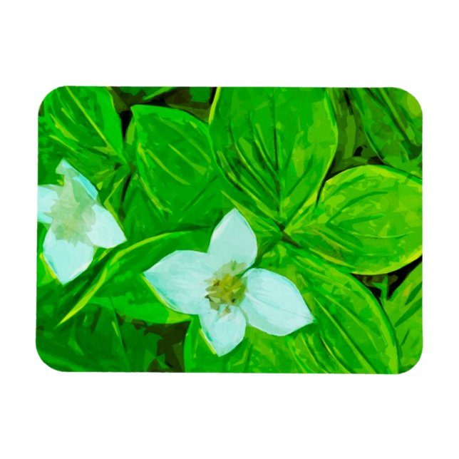 Magnet Flexible Fleur sauvage blanc Bunchberry Abstrait (Horizontal)