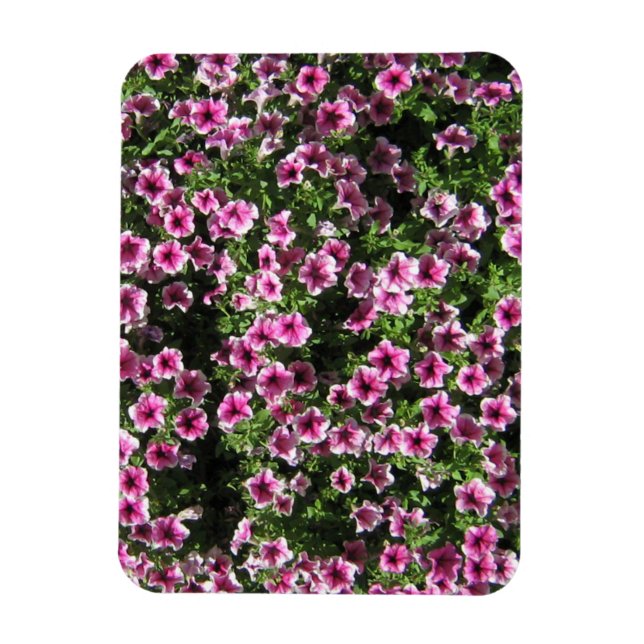 Magnet Flexible Fleurs de buisson rose Housse de jardin Phlox (Vertical)