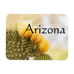 Magnet Flexible Fleurs de cactus jaunes en fleur, Arizona