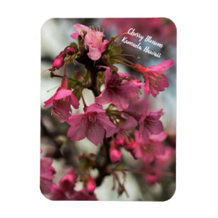 Magnet Flexible Fleurs de cerisier en Hawaï