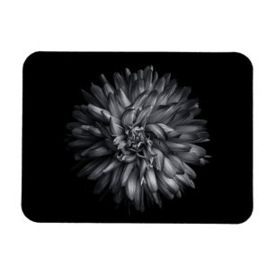 Magnet Flexible Fleurs de jardin en noir et blanc 20