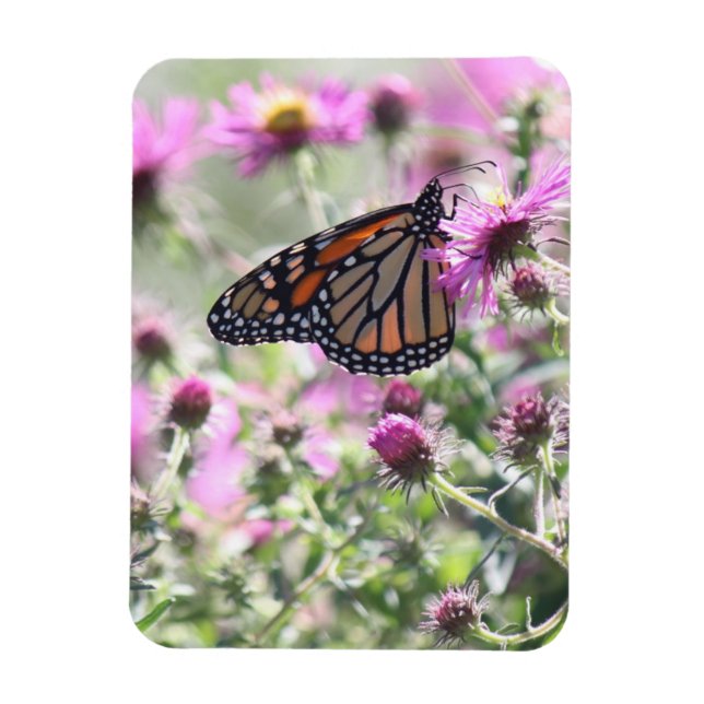 Magnet Flexible Fleurs de prés papillons et violets (Vertical)
